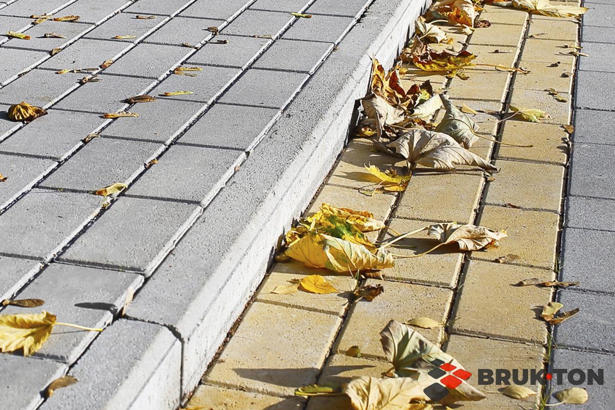 поребр8 Поребрик 1000х200х80 - Зображення 1